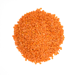 Bio Rote Linsen
