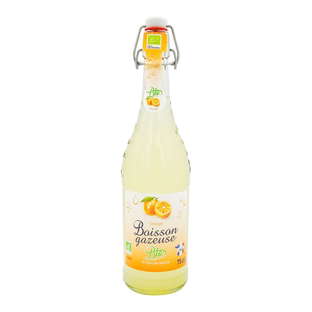 Boisson Gazeuse Goût Orange Bio