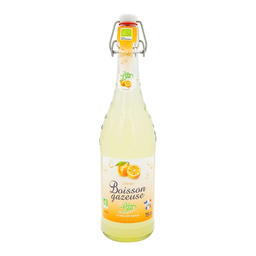 Boisson Gazeuse Goût Orange Bio
