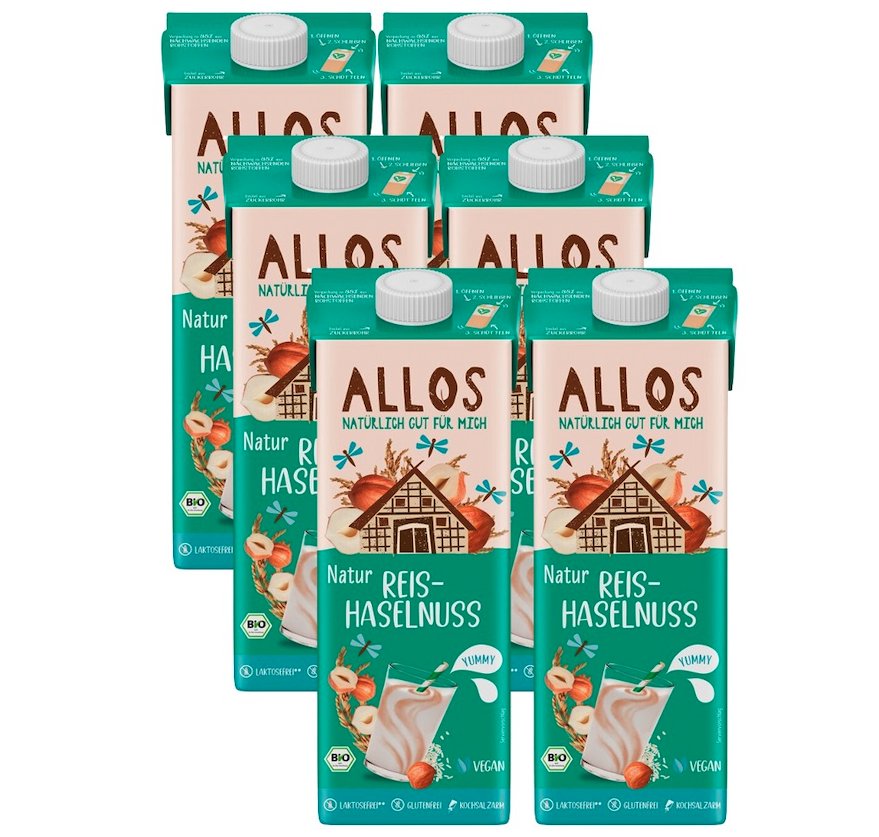 Bio Reis-Haselnussdrink, Karton 6 Stk.