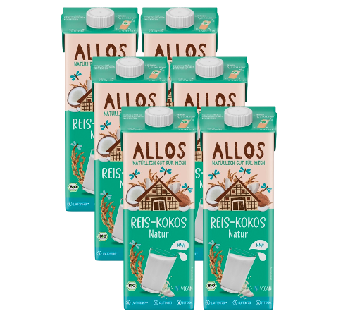 Bio Reis-Kokosdrink Karton 6 Stk.