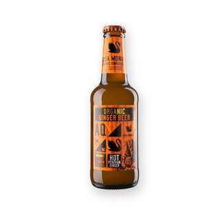Bio Ginger Beer
