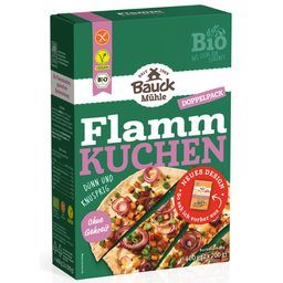 Bio Flammkuchen Backmischung, glutenfrei