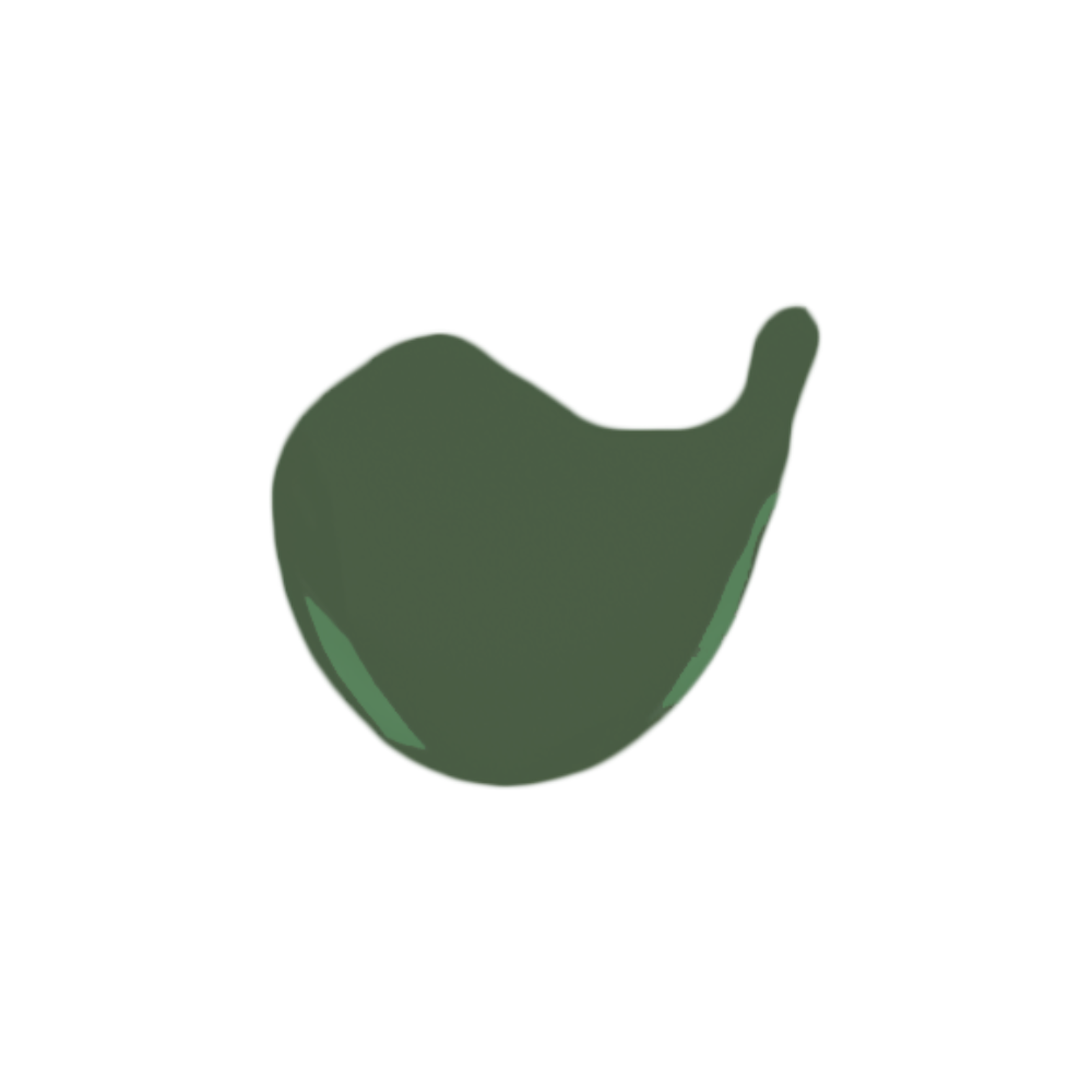 Vernis à Ongles - Sage Green