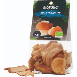 Bio Steinpilze getrocknet