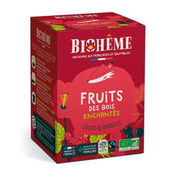 Infusion Fruits Rouges Bio x 20