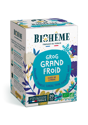 Infusion Grog Grand Froid Bio  x 20