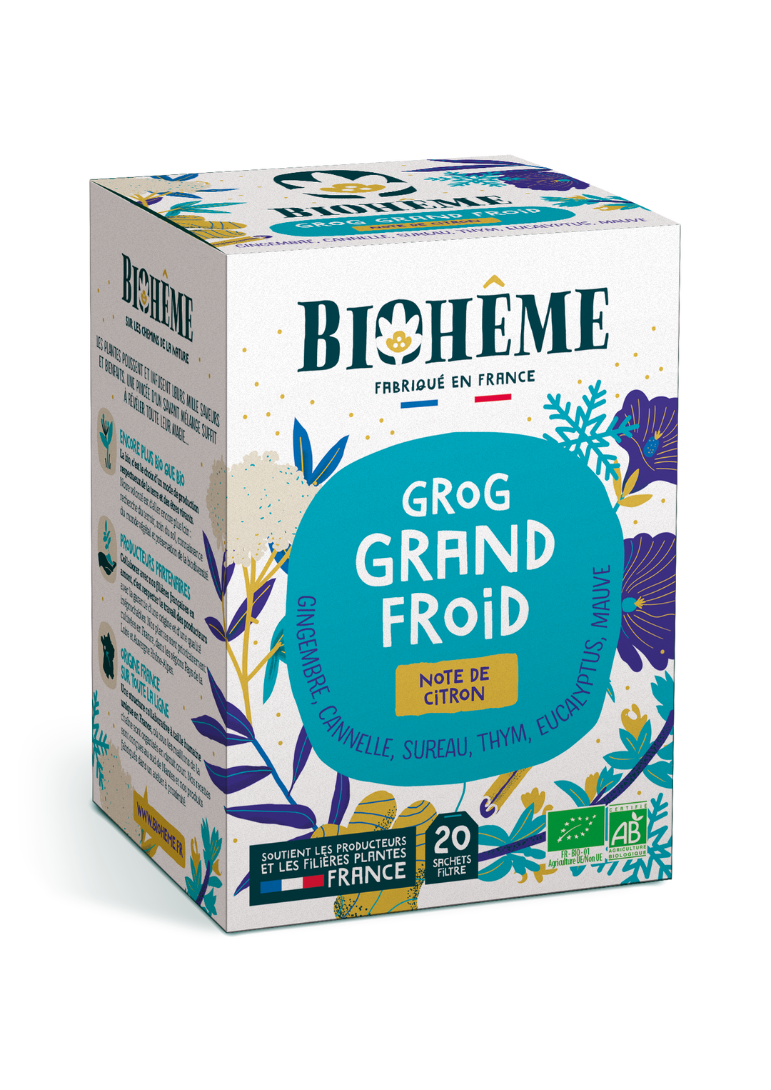 Infusion Grog Grand Froid Bio  x 20
