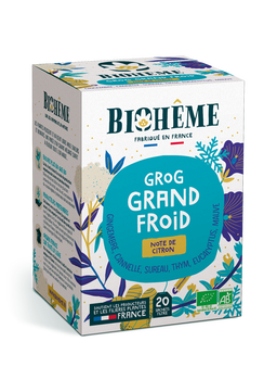 Infusion Grog Grand Froid Bio  x 20