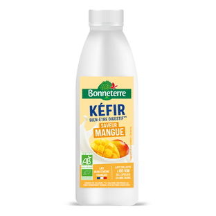 Kéfir de Lait - Saveur Mangue Bio