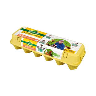 Œufs plein air bio x 12