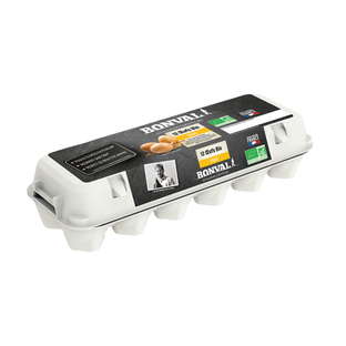 Oeufs plein air bio x 12