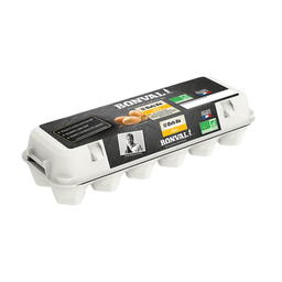 Oeufs Plein Air Bio x 12