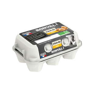 Oeufs plein air bio x 6