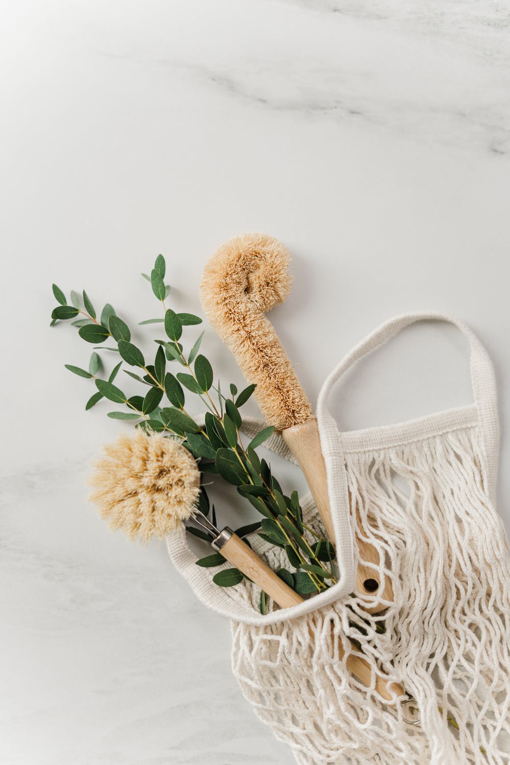 Brosses à vaisselle