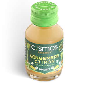 Shot Energy Gingembre Citron Bio