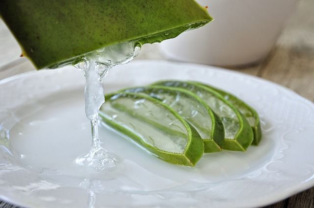Gel d'aloe vera bio