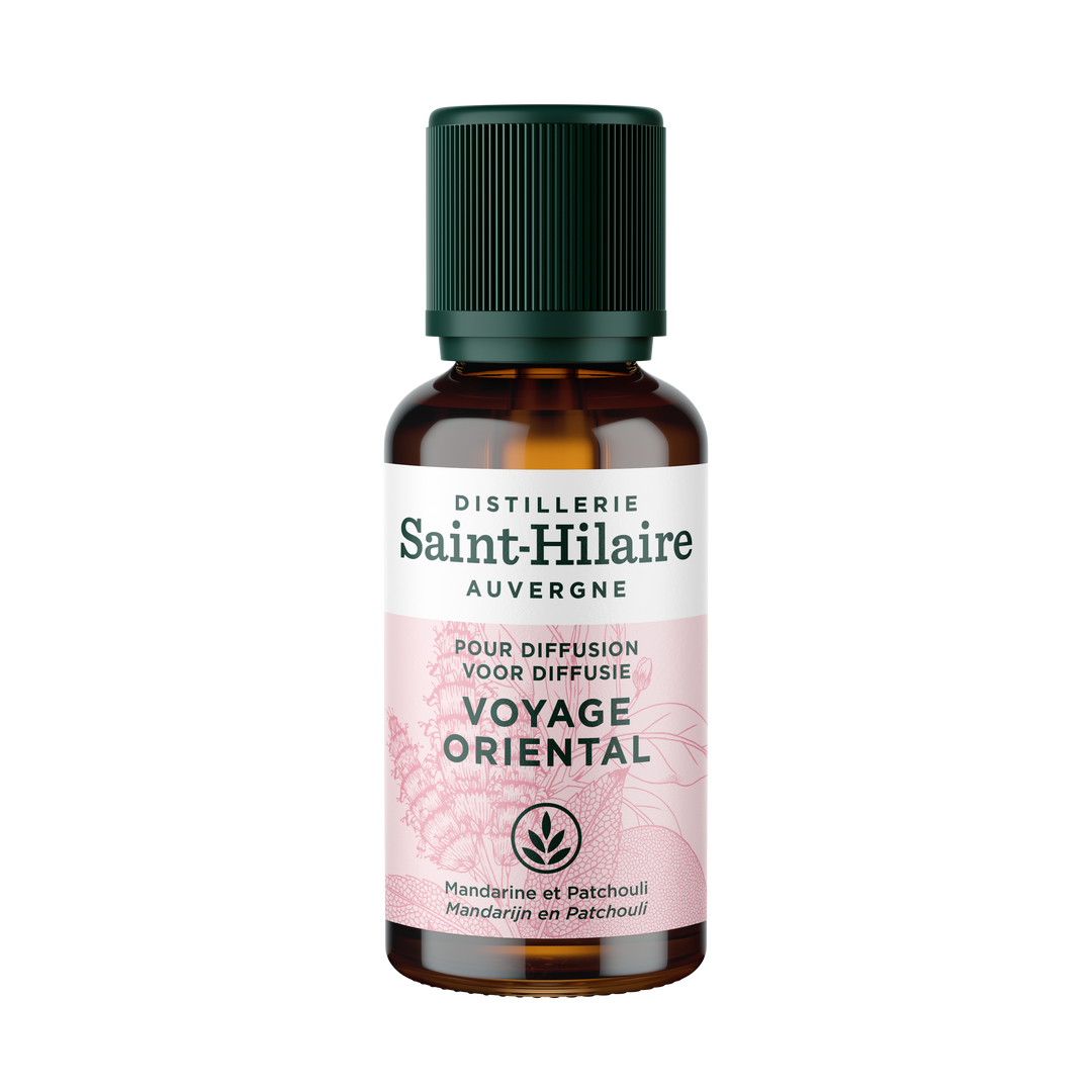 Complexe de diffusion - voyage oriental