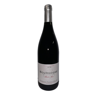 AOC Bourgogne Pinot Noir 13° Bio