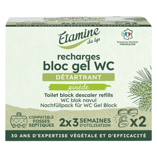 Recharges bloc gel WC x 2
