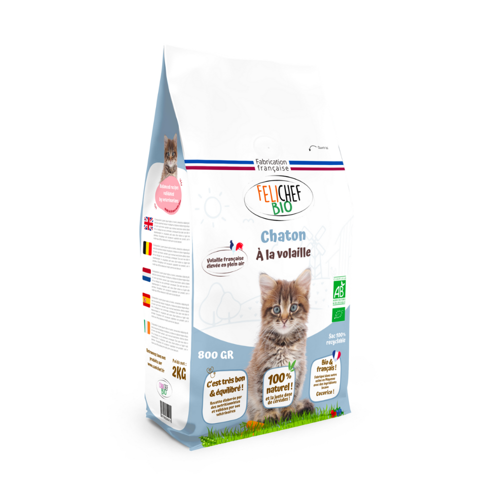 Croquette chaton bio