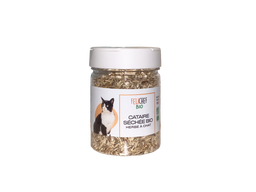 Herbe à chat bio