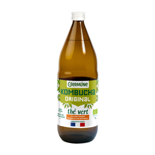 Kombucha original thé vert bio