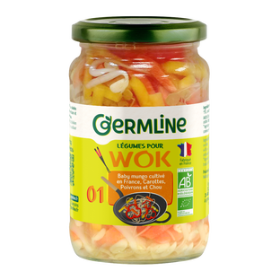 Légumes wok haricots mungo carotte poivrons chou bio
