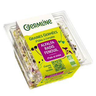 Alfalfa radis fenouil germés bio