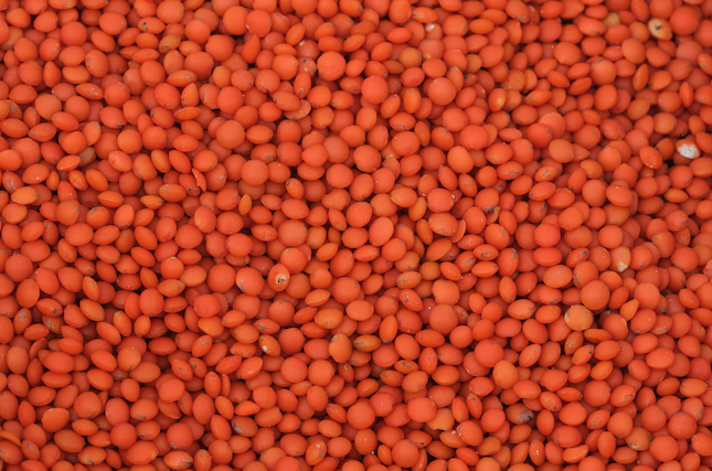 Linsen getrocknet