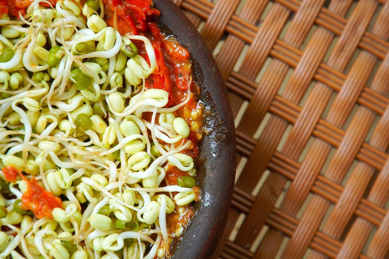 Graines germées bio