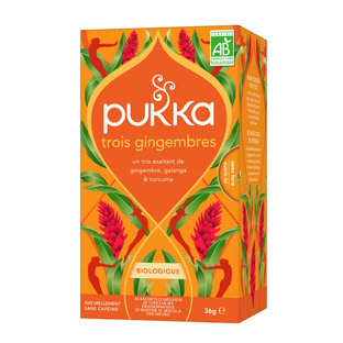 Infusion trois gingembres bio x 20