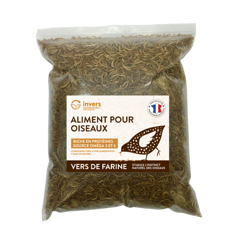 Insectes Séchés pour Oiseaux, Rongeurs, Poissons