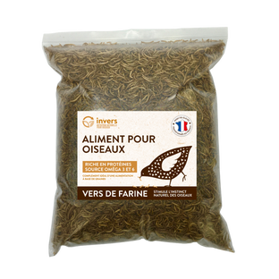 Insectes Séchés pour Oiseaux, Rongeurs, Poissons