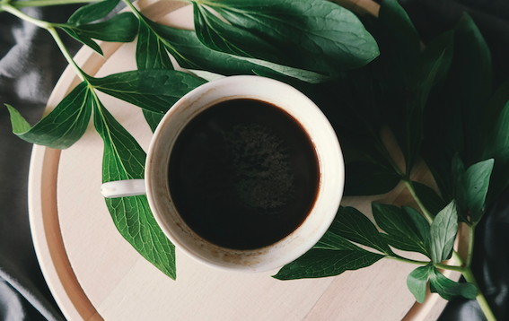 Entkoffeinierter Kaffee & Kaffeealternativen