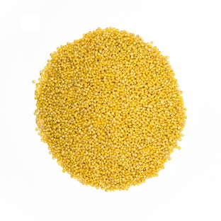 Graines de millet bio en sachet kraft