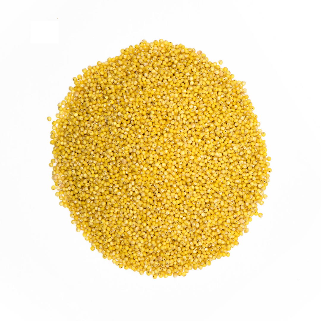 Graines de millet bio en sachet kraft