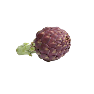 Artichaut violet bio origine France