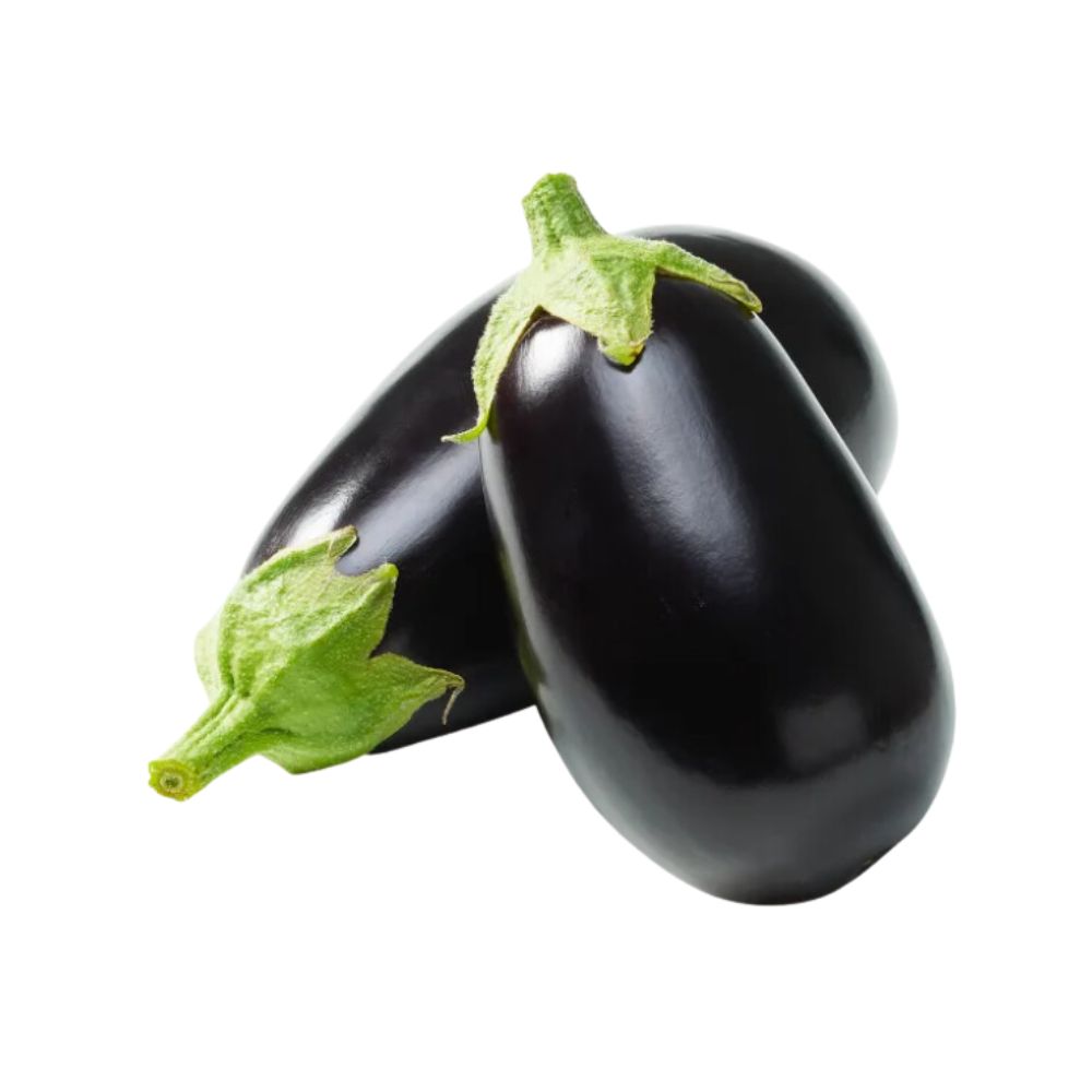 Aubergines bio origine Espagne