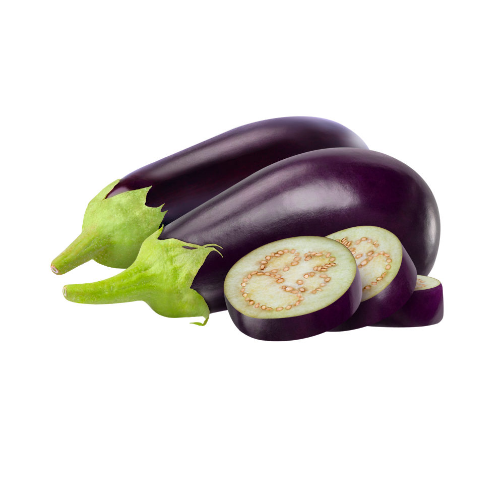 Aubergines bio origine Espagne