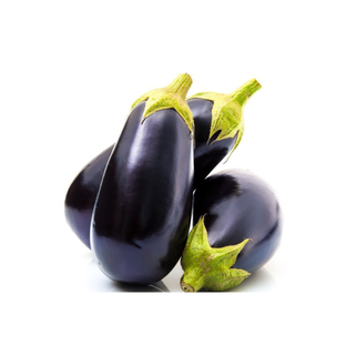 Aubergines bio origine France