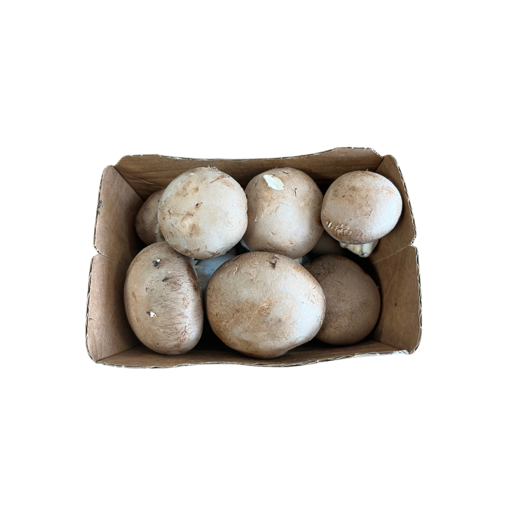 Barquette de champignons de Paris blonds bio origine France - 200g