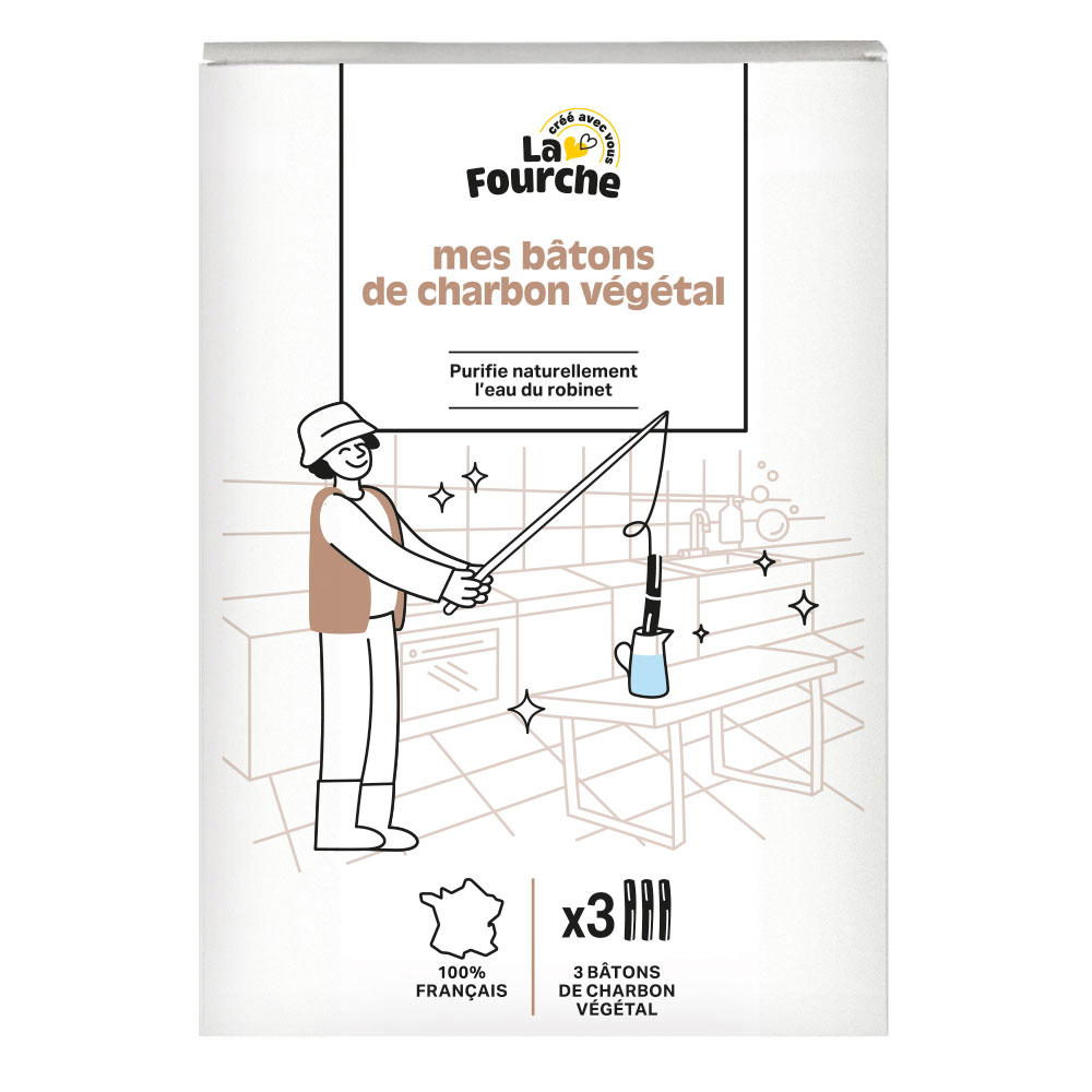 Bâtons de charbon végétal x 3