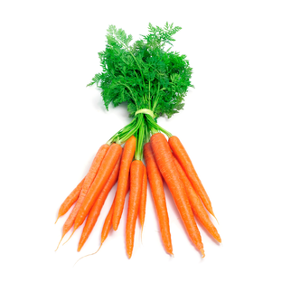 Botte de Carottes Bio Origine France