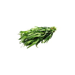Botte d'Estragon Bio Origine France