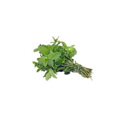 Botte de Menthe Bio Origine France