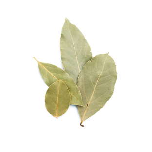 Bouquet de laurier bio origine France