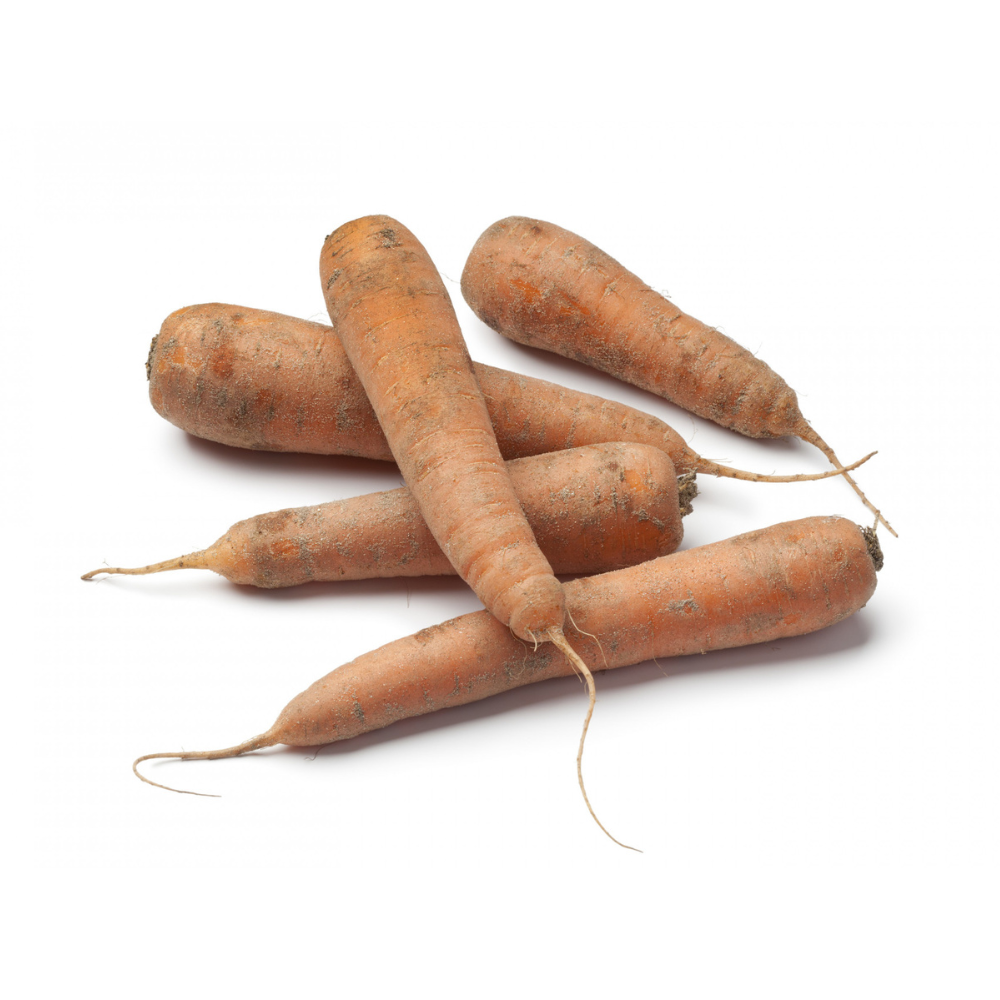 Carottes sable de créances bio origine France