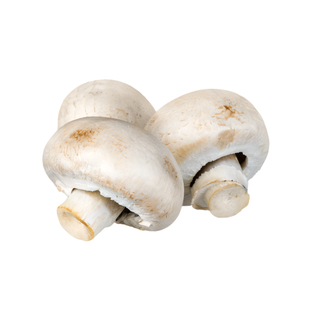 Champignons de Paris Bio Origine France