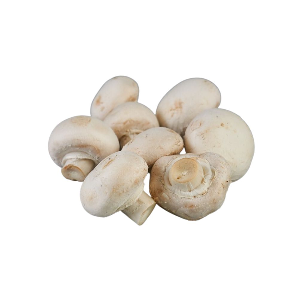 Champignons de paris bio origine France